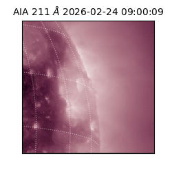 saia - 2026-02-24T09:00:09.626000