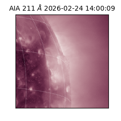 saia - 2026-02-24T14:00:09.630000