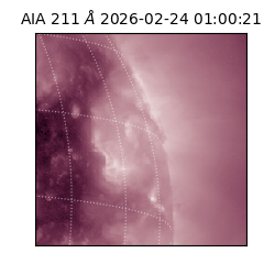 saia - 2026-02-24T01:00:21.618000