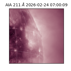 saia - 2026-02-24T07:00:09.625000