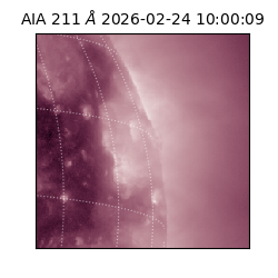 saia - 2026-02-24T10:00:09.626000