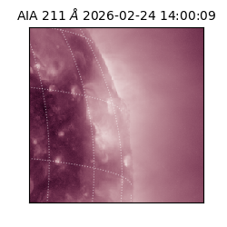 saia - 2026-02-24T14:00:09.630000