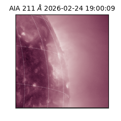 saia - 2026-02-24T19:00:09.618000