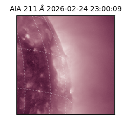 saia - 2026-02-24T23:00:09.629000