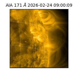 saia - 2026-02-24T09:00:09.350000