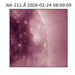 saia - 2026-02-24T08:00:09.629000