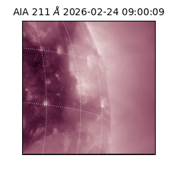 saia - 2026-02-24T09:00:09.626000