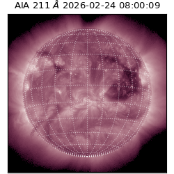 saia - 2026-02-24T08:00:09.629000
