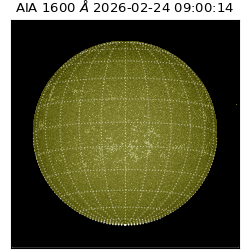 saia - 2026-02-24T09:00:14.126000