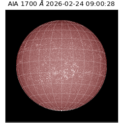 saia - 2026-02-24T09:00:28.718000