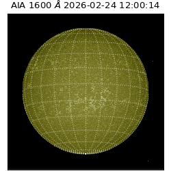 saia - 2026-02-24T12:00:14.129000