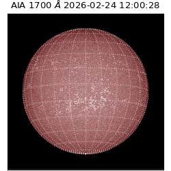 saia - 2026-02-24T12:00:28.710000