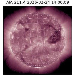 saia - 2026-02-24T14:00:09.630000