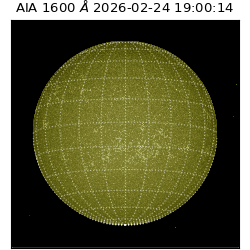 saia - 2026-02-24T19:00:14.117000