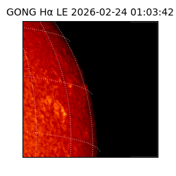 gong - 2026-02-24T01:03:42