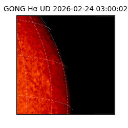 gong - 2026-02-24T03:00:02