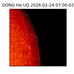 gong - 2026-02-24T07:00:02