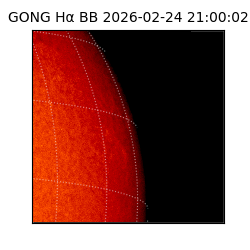 gong - 2026-02-24T21:00:02