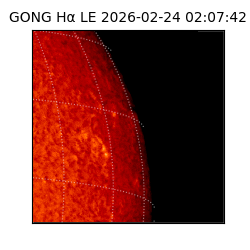 gong - 2026-02-24T02:07:42