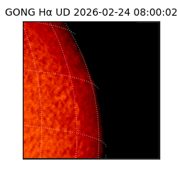 gong - 2026-02-24T08:00:02