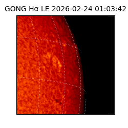 gong - 2026-02-24T01:03:42