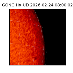 gong - 2026-02-24T08:00:02