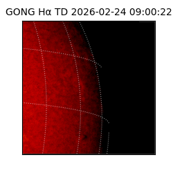gong - 2026-02-24T09:00:22