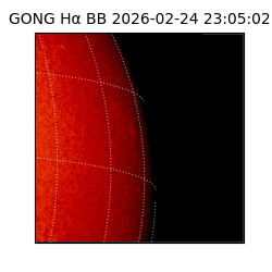 gong - 2026-02-24T23:05:02
