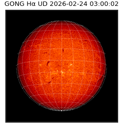 gong - 2026-02-24T03:00:02