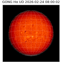 gong - 2026-02-24T08:00:02