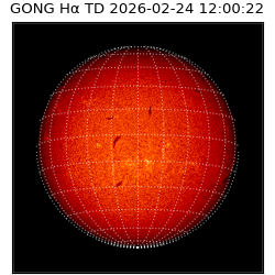gong - 2026-02-24T12:00:22
