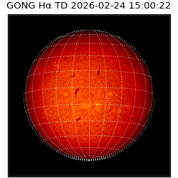 gong - 2026-02-24T15:00:22