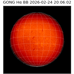 gong - 2026-02-24T20:06:02