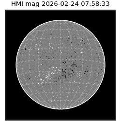 shmi - 2026-02-24T07:58:33