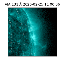 saia - 2026-02-25T11:00:06.630000