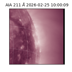 saia - 2026-02-25T10:00:09.618000