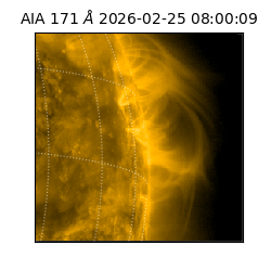 saia - 2026-02-25T08:00:09.343000