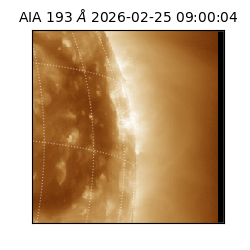 saia - 2026-02-25T09:00:04.843000