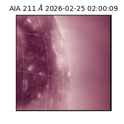 saia - 2026-02-25T02:00:09.630000