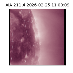 saia - 2026-02-25T11:00:09.632000