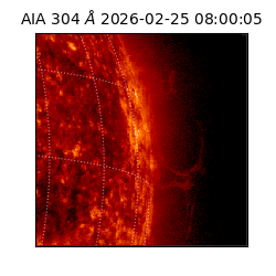 saia - 2026-02-25T08:00:05.130000