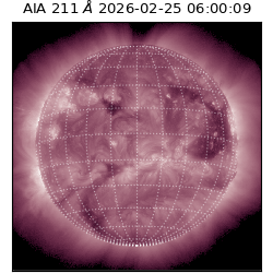 saia - 2026-02-25T06:00:09.618000