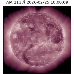 saia - 2026-02-25T10:00:09.618000