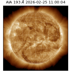saia - 2026-02-25T11:00:04.843000