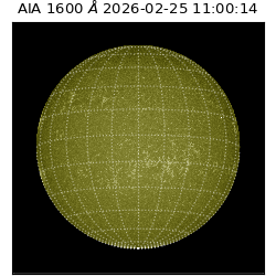 saia - 2026-02-25T11:00:14.126000