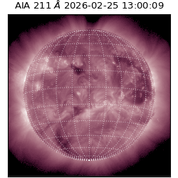 saia - 2026-02-25T13:00:09.625000