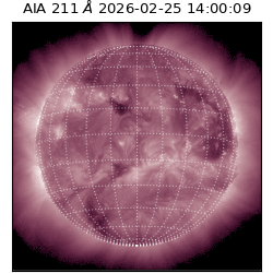 saia - 2026-02-25T14:00:09.626000