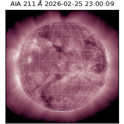 saia - 2026-02-25T23:00:09.625000
