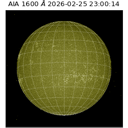 saia - 2026-02-25T23:00:14.126000