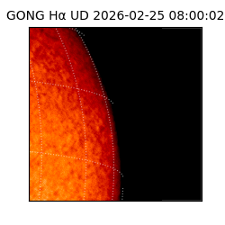 gong - 2026-02-25T08:00:02